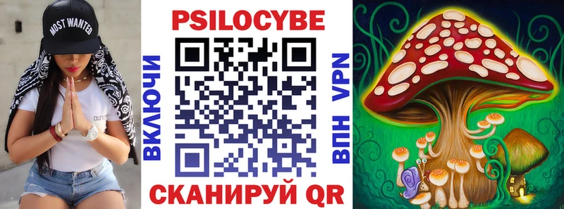 Галлюциногенные грибы Cubensis  Кувшиново 
